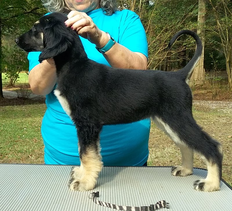 White Girl 9 Weeks.jpg - 1703 K